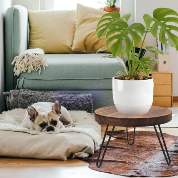 12'' Wooden Indoor Outdoor Plant Stand